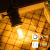 runquiz G16.5 Led Bulb, Small Round Edison Light Bulbs, E26