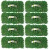 SodPods® Zoysia Grass Plugs for Lawn Repair, 3" x 3"