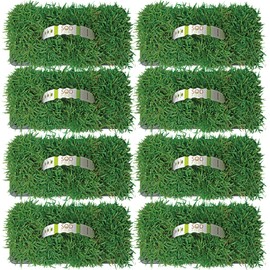 SodPods® Zoysia Grass Plugs for Lawn Repair, 3" x 3" Each (64-Count) – Cannot Ship to California/Arizona