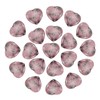 PATIKIL 20 Pcs Natural Heart Shaped Crystal Stone, 1 Inch