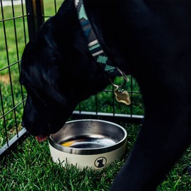 Lucky Dog Indulge Food Grade Double Wall Stainless Steel Constructed Pet Dog Bowl, Holds 5 Cups of Food and 40 Ounces of Water, Tahitian Sands