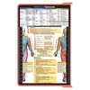 Whitecoat Clipboard® - Coral Physical Therapy Edition