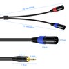 1 Pack 3.5mm TRS to 2 XLR Cable, 6.6 Foot,