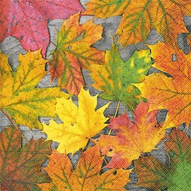 Home Collection Napkins (Set of 2/40) 3-Ply 33 x 33 cm Autumn Leaves Maple Leaves Maple Leaves