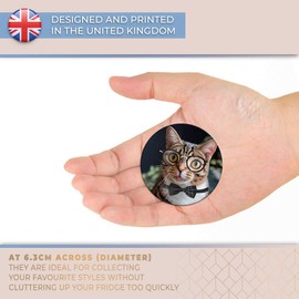 Destination Vinyl ltd Magnet for Refrigerator, Fridge - Geek Cat with Eye Glasses Bowtie for Office, Cabinet and Whiteboard, Magnetic Stickers, 16718