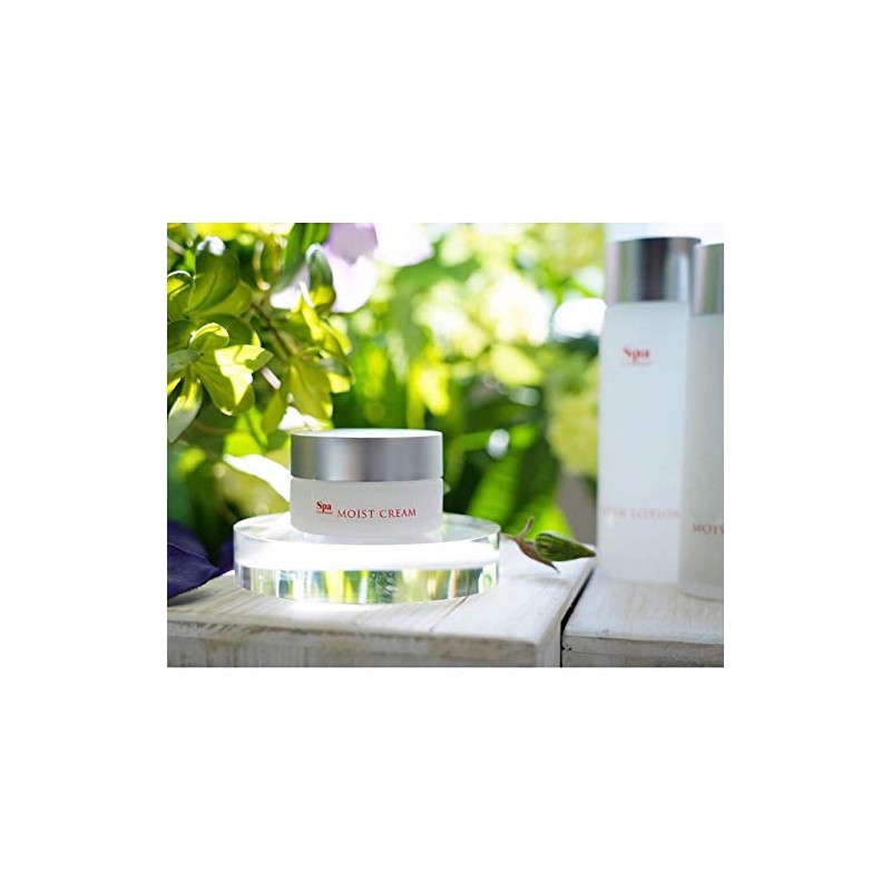 spa treatment abso water moist cream s moisturizing cream 30g