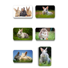Merchandise for Fans 01 Rabbit Fridge Magnets Rectangular 7 x 4.5 cm Set of 6
