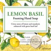 Michel Design Works Foaming Hand Soap, Lemon Basil