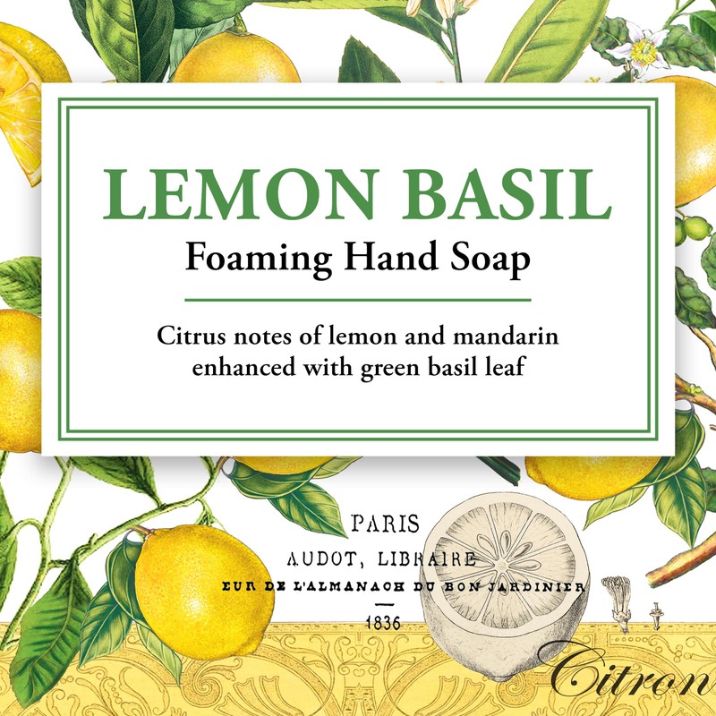 Michel Design Works Foaming Hand Soap, Lemon Basil