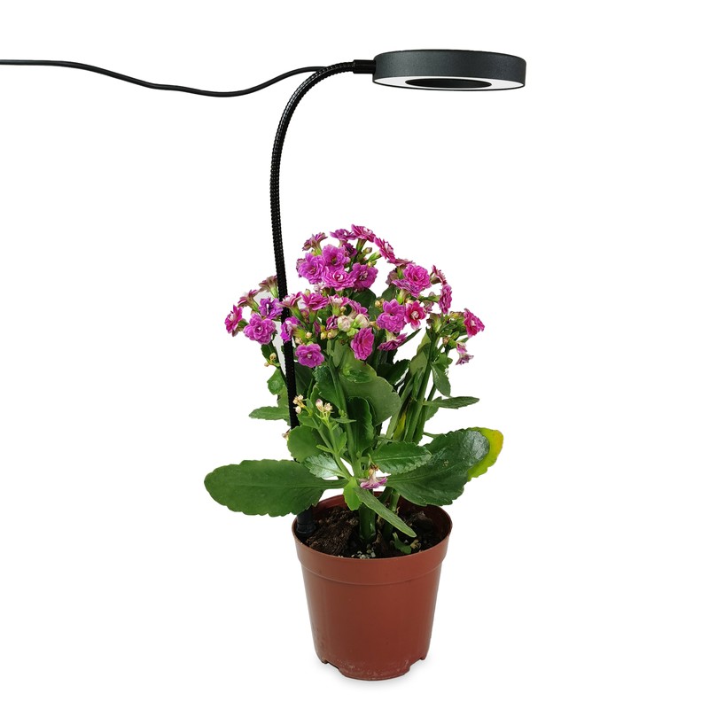 Ground-plugged Plant Light Timable Dimmable Angel Ring Full Spectrum Imitation