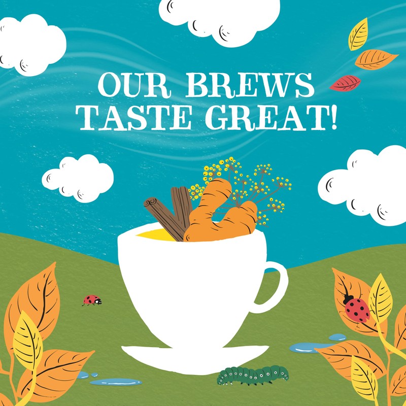 Clipper Tea Spicy Chai Herbal Tea – Caffeine Free, USDA