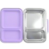 EcoCocoon Bento Lunch Boxes - 2 Compartment, Blueberry