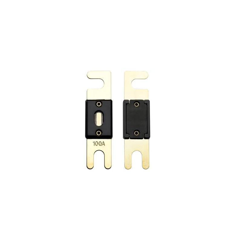 Offgridtec 100A 72V ANL Fuse DIN43560/1 Set of 5