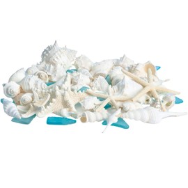 Nautical Crush Trading Sea Shells | Real Mixed Beach Seashells with Real Starfish & Caribbean Blue Sea Glass | White Decorative Seashell Décor & Blue Seaglass Pieces | Seashell Wedding (2 Pack)