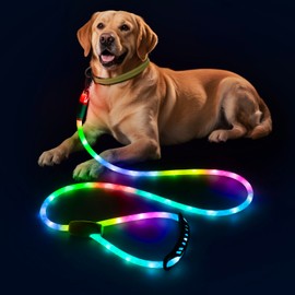 Colaseeme Light Up Dog Leash, 5FT LED Pet Leashes Micro USB Rechargeable, Nylon Glow Safety Dogs Lights at Night (Multi-Color)