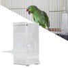 Automatic Parrot Feeder Prevent Spills Splashes Large Capacity Acrylic Transparent