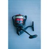 PENN Fierce III Live Liner Inshore Spinning Fishing Reel, Size