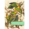 The Fitzwilliam Museum Audubon's Birds of America - Pack of
