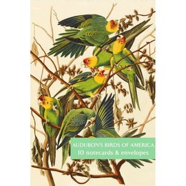 The Fitzwilliam Museum Audubon's Birds of America - Pack of 10 Notecards (2 Each of 5 Designs) - Blank Greeting Cards by Fitzwilliam Museum Cambridge
