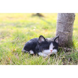 Hi- Line Gift 87699-B Kitten Sleeping Black & White Cat Statue