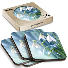 4 x Square Coasters - Spring Snowdrop Flowers Cork Backed MDF Glossy Tea Coffee Accessory #52119