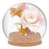PH PandaHall Glass Dome with Base Glass Cloche Globe Display