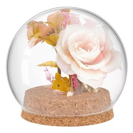 PH PandaHall Glass Dome with Base Glass Cloche Globe Display Dome Decorative Glass Display Case for Beach Sand Display Home Party Decoration 9.9 x 9.2 cm