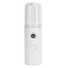 2PCS Portable Nano Facial Mister Mini Facial Steamer USB Rechargeable