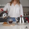 Hakan Stainless Steel Double Bondy Tea Pot Set with Self