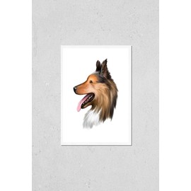 Poster Reproduction of Collie, Rough dog breed isolated on white background digital art illustration. Cute pet hand drawn portrait. Graphic clipart design realistic animal Variation Number 2