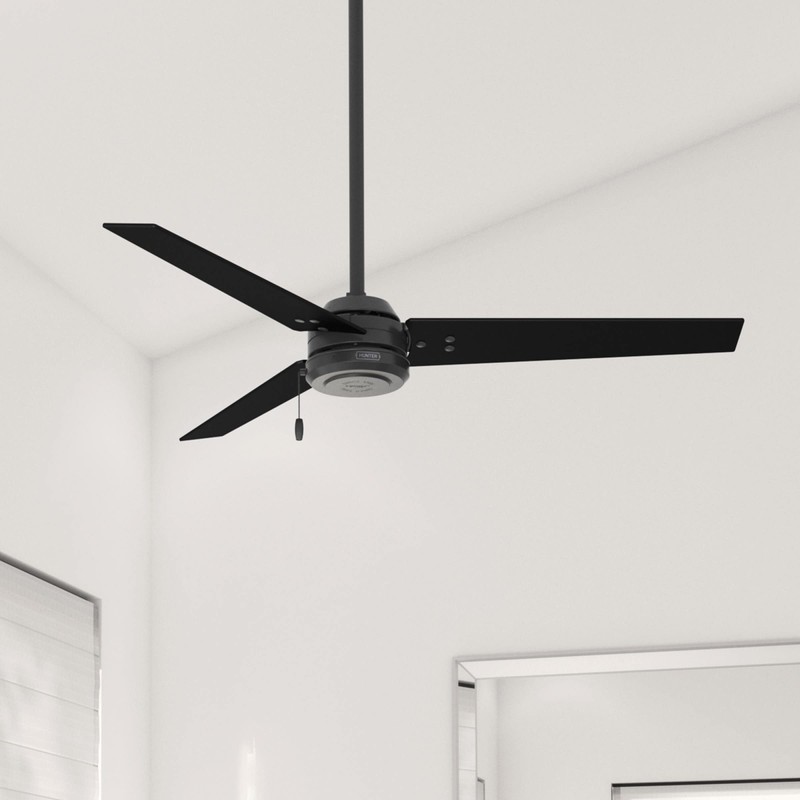 Hunter 52 inch Outdoor or Indoor Ceiling Fan No Light