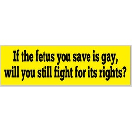 If The Fetus You Save Is Gay Will You Still Fight For Rights 3x10 Bumper Sticker