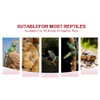 KOHEOPT Infrared Heat Lamp 100W,（2 Pack） Reptile Heat Emitter Infrared