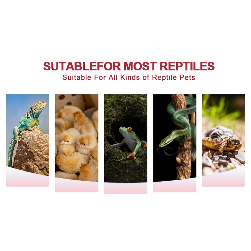 KOHEOPT Infrared Heat Lamp 100W,（2 Pack） Reptile Heat Emitter Infrared