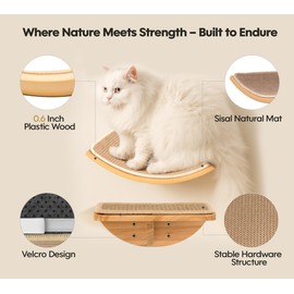 Cat Window Perches, Curved Cat Wall Sisal Mat Bed and 2 Floating Wall Steps, Wall Mounted Climbing Shelves for Sleeping, Playing, and Lounging