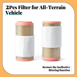 Esttlamer 2Pcs 73824 Filter Compatible with Massimo Buck 450 T-Boss 410 T-BOSS 550 560 750 760 Motorcycle Washable Parts