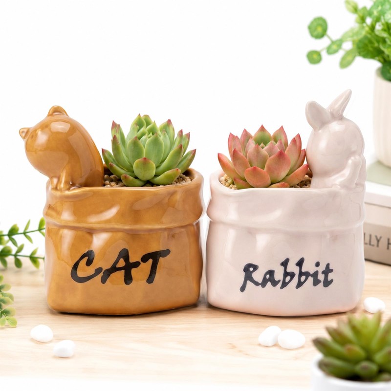 Cute Small Succulent Planter Set, 2-Pack Ceramic Garden Pots
