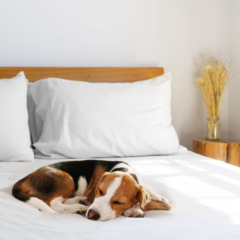 LuxClub Double Fitted Sheet Bedding with 45cm Depth, Extra Deep