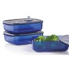 Tupperware Vent N Serve Container Set of 3 Medium Shallow