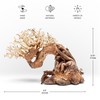 Ultum Nature Systems Bonsai - Handcrafted Hardscape Driftwood for Aquarium,