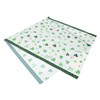 Alipis 2pcs Shamrock Party Tablecloth St. Patrick's Day Party Supplies