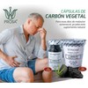 Prosa Carbòn Vegetal 150 capsulas (400 mg c/u)