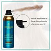 Rita Hazan Root Concealer Touch Up Spray - Instant Spray