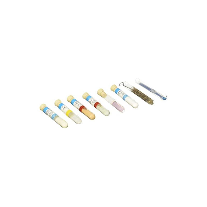 Mi Alegria Quimica Inicial (13 Experimentos)
