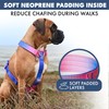Spark Paws No Pull Dog Harness for Large Dogs, Heavy