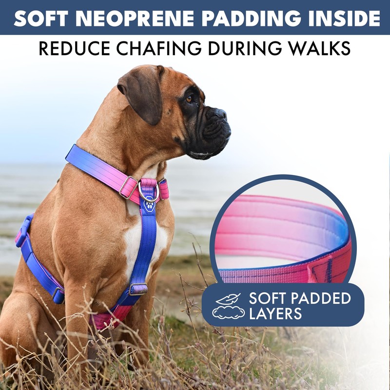Spark Paws No Pull Dog Harness for Large Dogs, Heavy