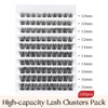 Goddvenus Cluster Lashes D Curl Individual Lashes, 100pcs Lashes Individual