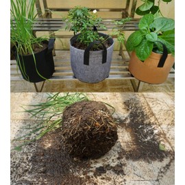 Fabric Grow Bags with Handles, 2 Gallon, 260g Heavy-Duty, Plant Pots for Garden, 5-Pack