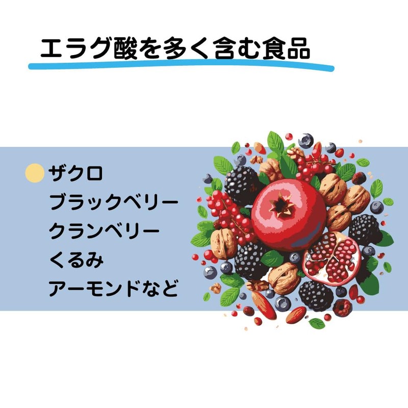 エラグ酸 1カプセルに120ｍｇ