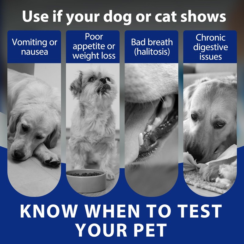 Pet H. Pylori Health Check Kit (2-Pack) – at-Home Testing